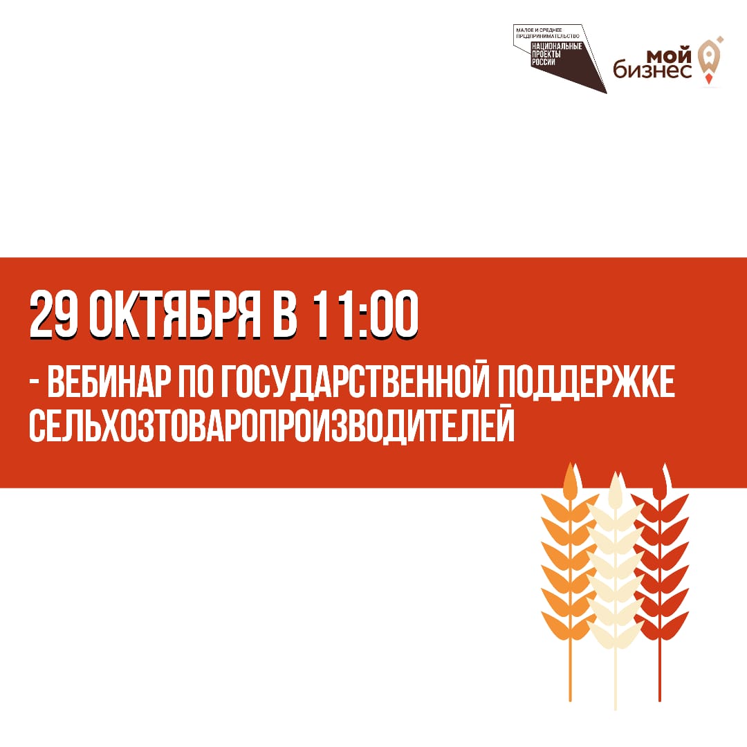 29 октября 2020 Тема вебинара «Государственная поддержка малых форм хозяйствования в Оренбургской области»